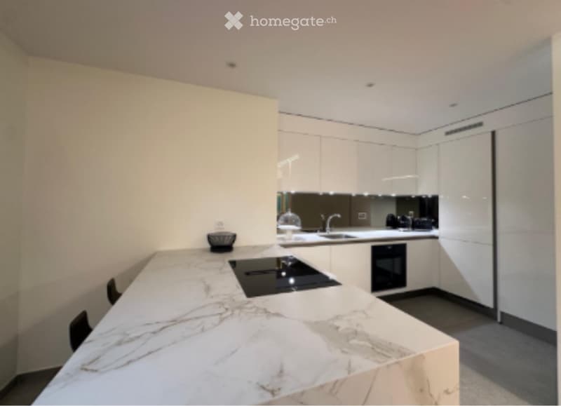 Appartement haut standing - Bernex (2)