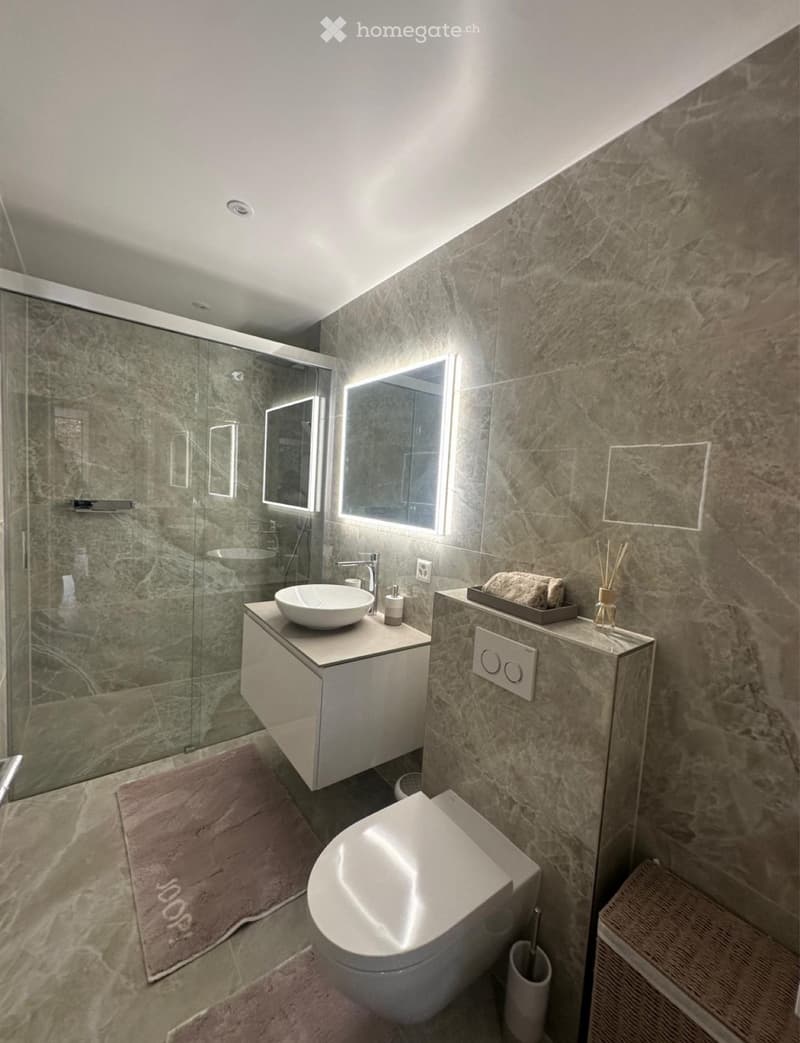 Appartement haut standing - Bernex (5)