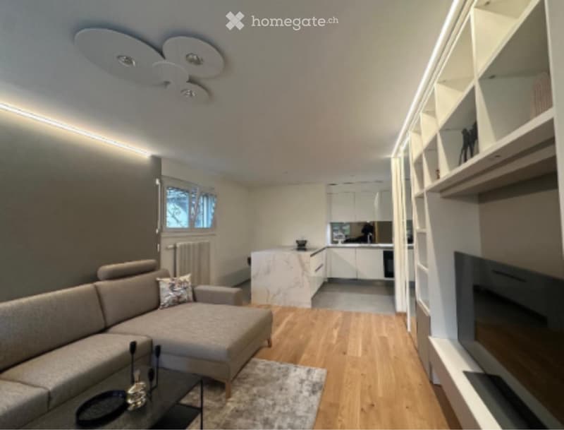 Appartement haut standing - Bernex (6)