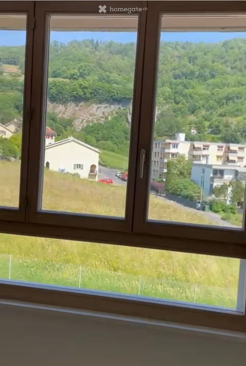 Appartement avec cheminée et balcon de 3.5 pcs (5)