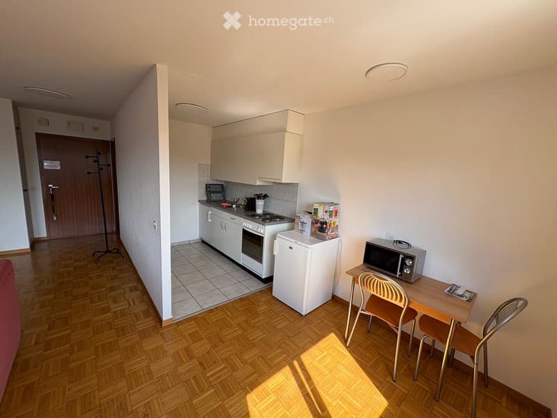 Appartement meublé 1,5 pièce + 1 place de parc extérieure (2)