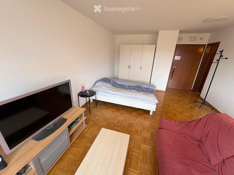 Appartement meublé 1,5 pièce + 1 place de parc extérieure (4)