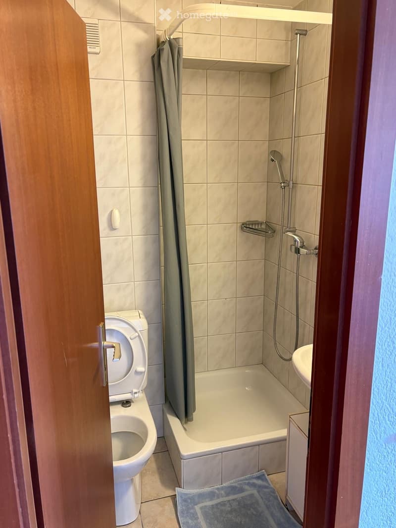 Appartement meublé 1,5 pièce + 1 place de parc extérieure (3)