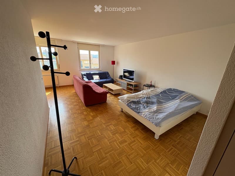 Appartement meublé 1,5 pièce + 1 place de parc extérieure (1)