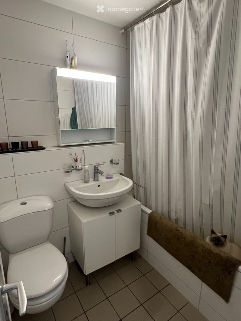 Duplex/maisonette de 4.5 pièces à louer à Villars-sur-Glâne (5)