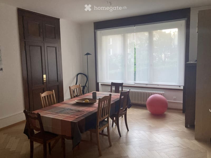 Grand appartement lumineux Maillefer (2)