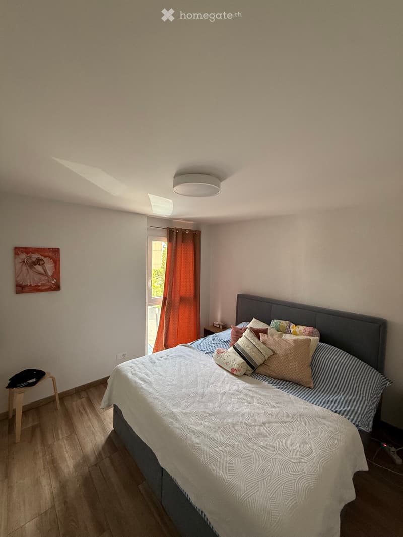 Joli appartement 3 pièces à louer (2)
