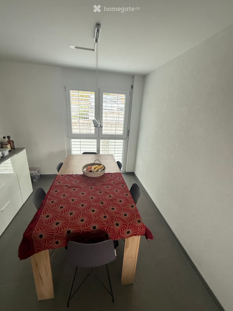 Joli appartement 3 pièces à louer (4)