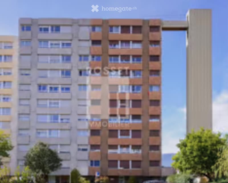 Reprise de bail 7 pièces de 124 m² à Meyrin (1)