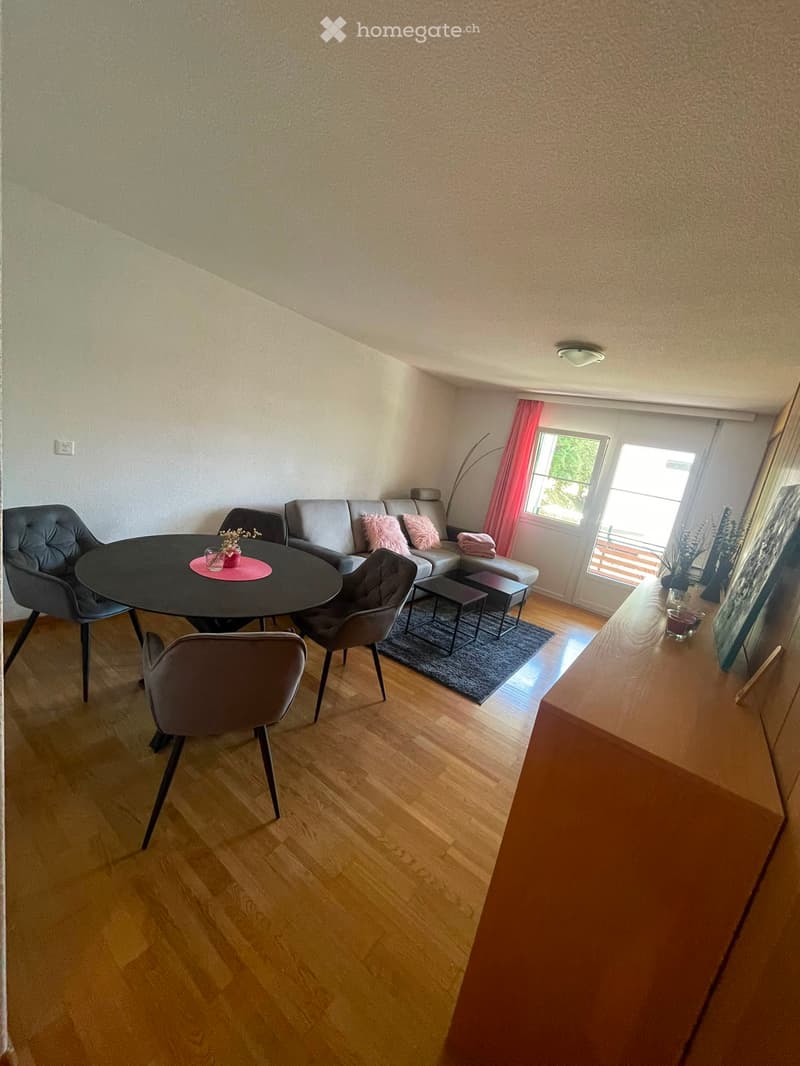 A louer appartement de vacances (3)