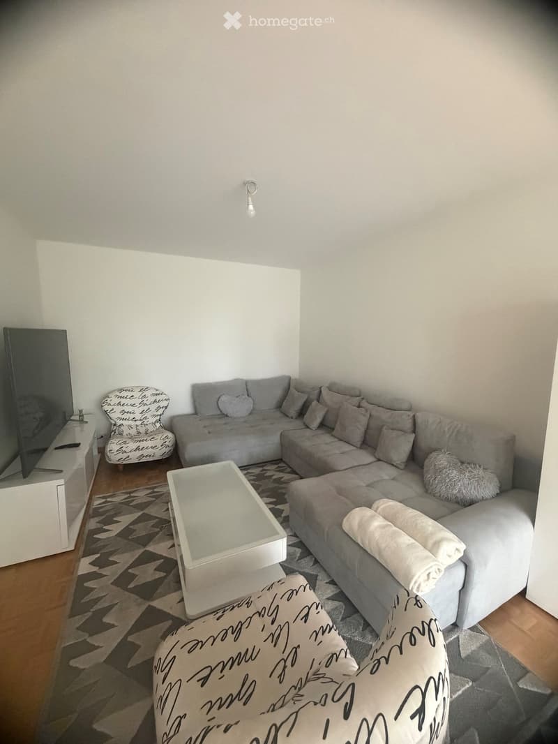 Spacieux appartement de 5 pièces au Grand-Lancy (5)
