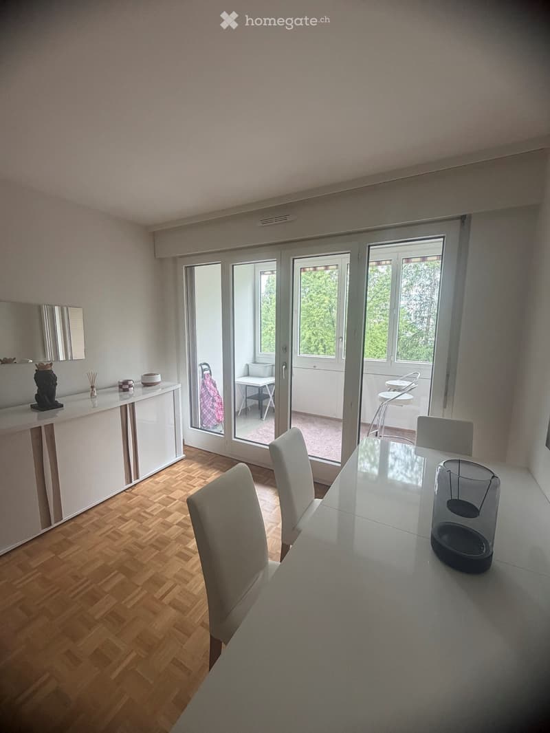 Spacieux appartement de 5 pièces au Grand-Lancy (4)