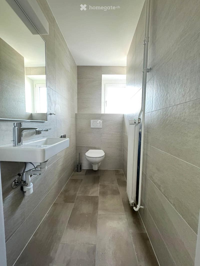 Chambre de 20m2 à louer dans une colocation de 4 chambres (4)
