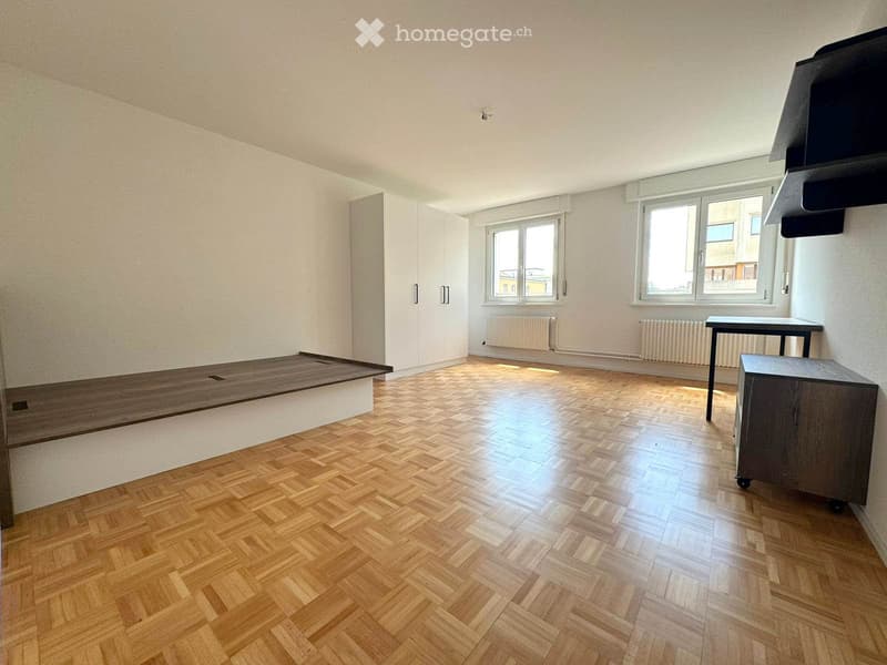 Chambre de 20m2 à louer dans une colocation de 4 chambres (1)