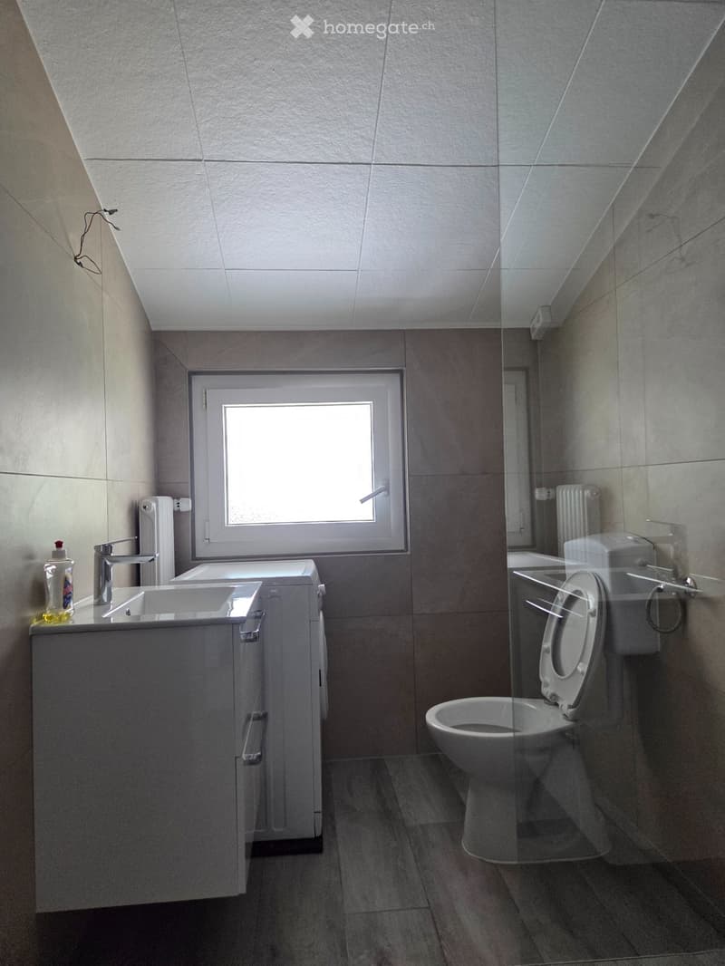 Appartement 3,5 pièces avec balcon (5)