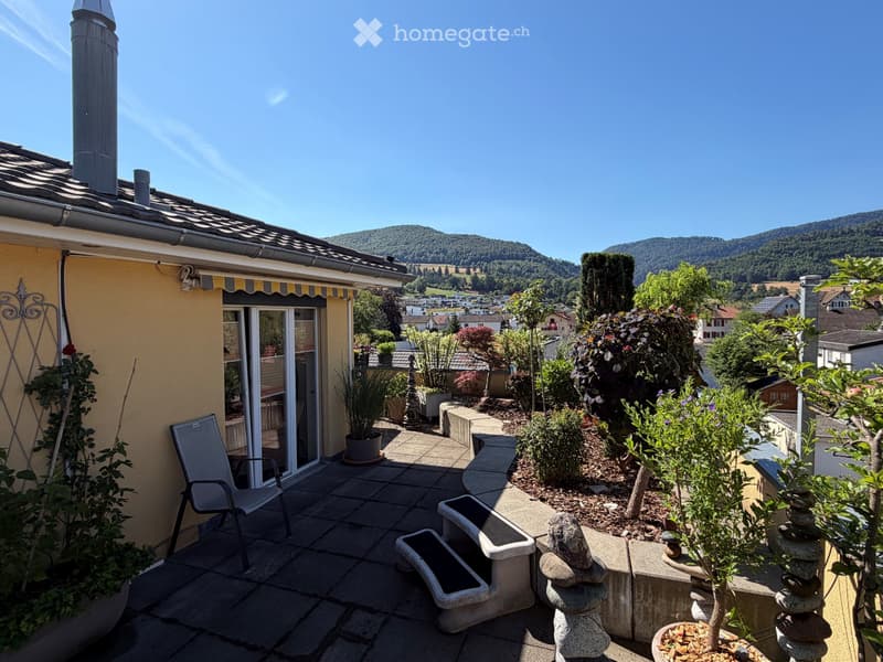 Magnifique attique avec sa vue panoramique (6)