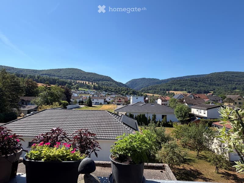Magnifique attique avec sa vue panoramique (4)