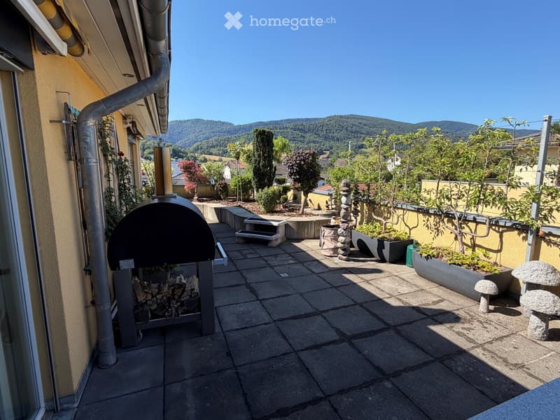Magnifique attique avec sa vue panoramique (1)