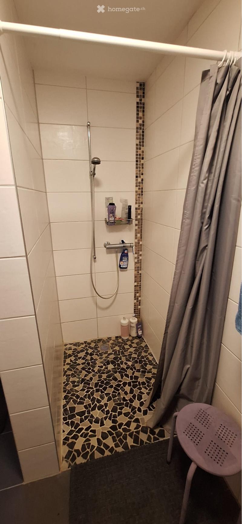 Appartement 3 pièces à louer (5)