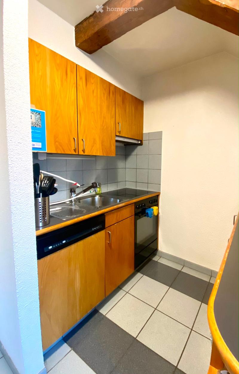 Duplex 3,5pcs meublé au centre ville (1)