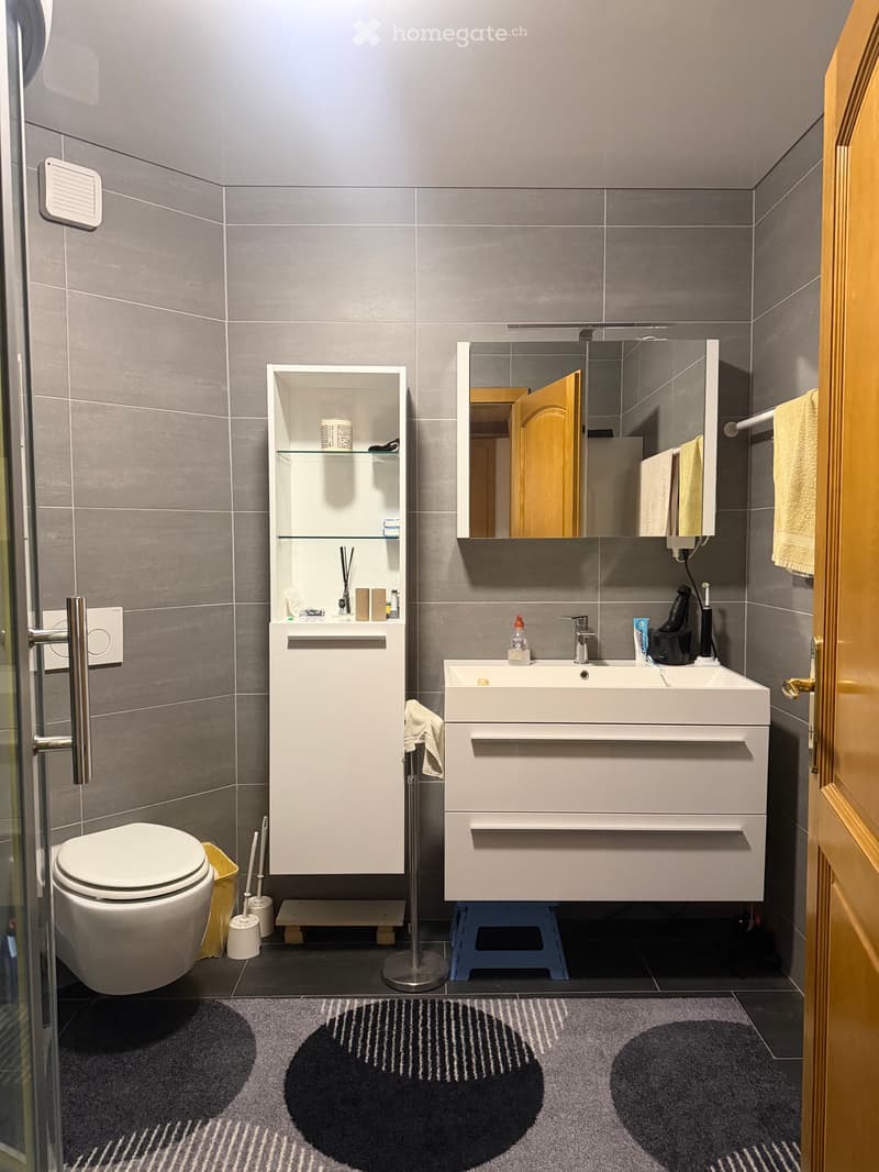À Louer : Superbe 3.5 pièces en duplex et avec garage. (5)