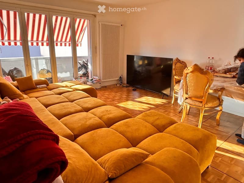 Grand appartement Spacieux 3 chambres (5)