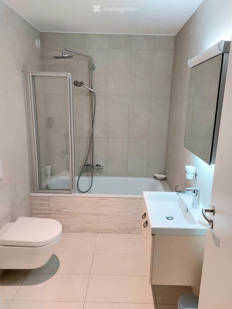Superbe appartement disponible pour 8 mois (3)