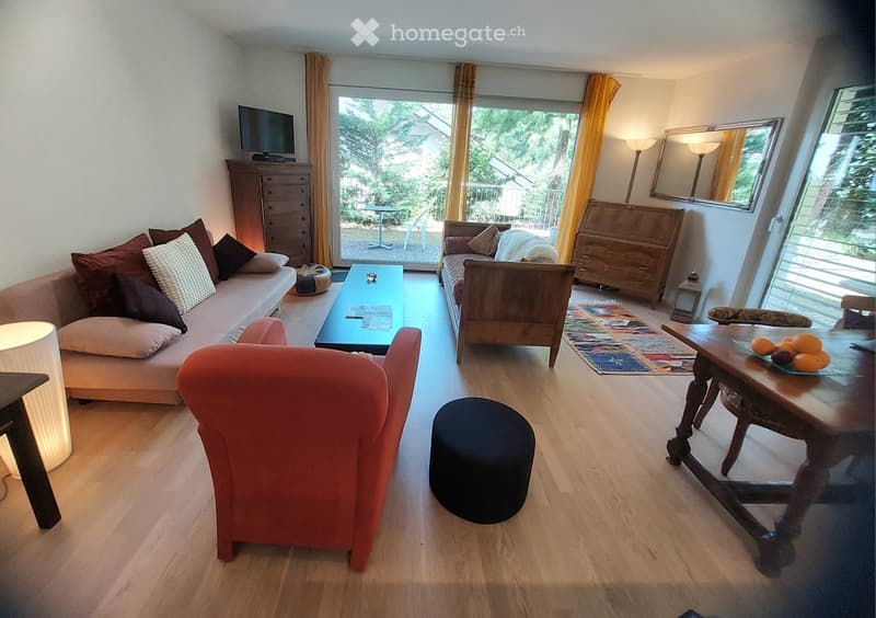 Superbe appartement disponible pour 8 mois (2)