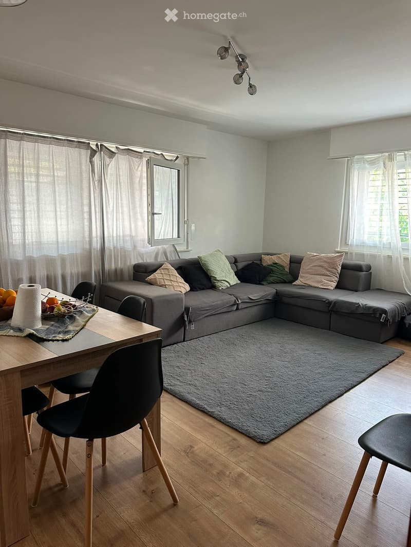 Appartement lumineux de 4,5 pièces (5)