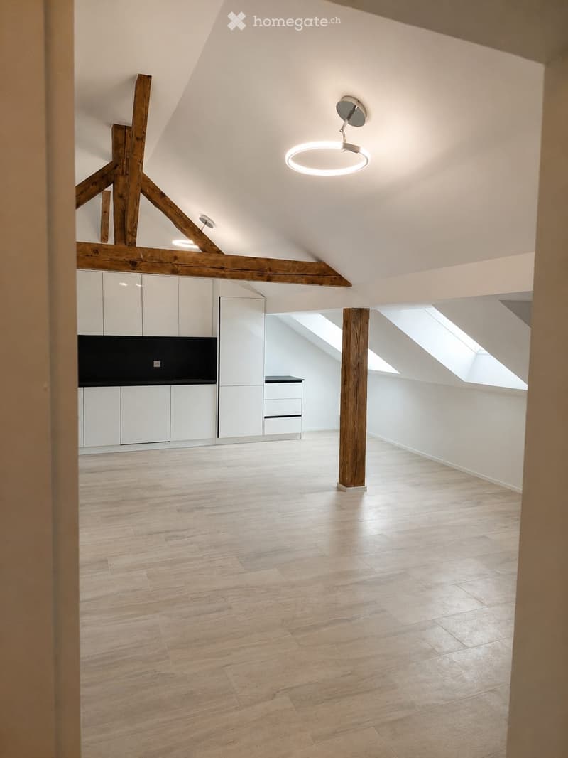 Appartement 3.5 (4)