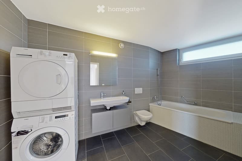 Magnifique penthouse au 6ème étage d'un immeuble de 4,5 . (5)