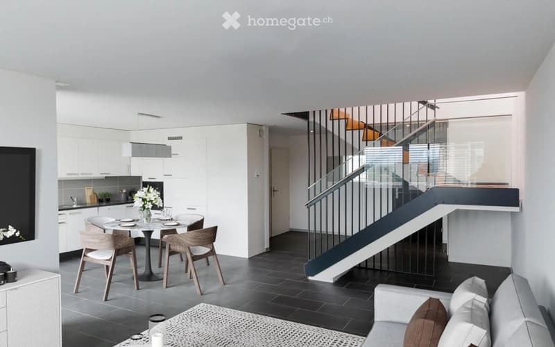 Magnifique penthouse au 6ème étage d'un immeuble de 4,5 . (3)