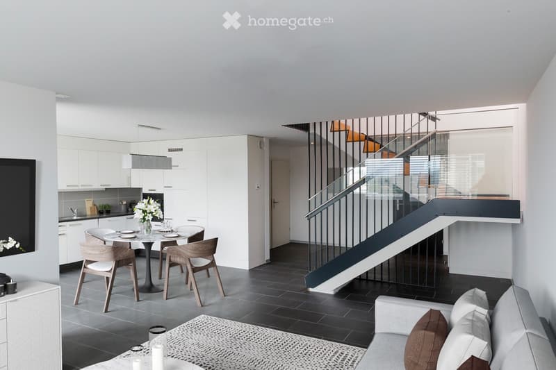 Magnifique penthouse au 6ème étage d'un immeuble de 4,5 . (1)