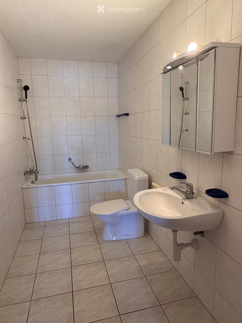 Magnifique appartement (3)