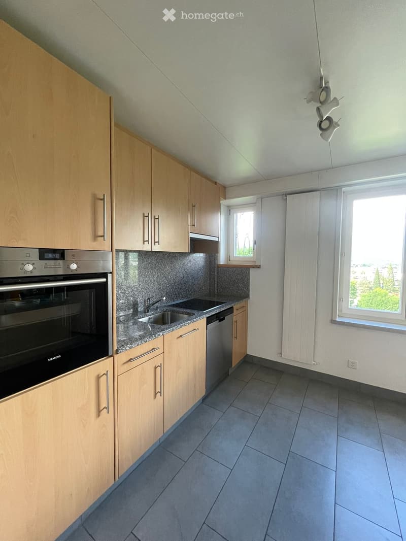 Appartement avec vue sur les Alpes vaudoises (3)