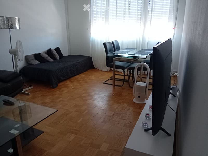 3 pièces meublé Genève Cornavin 3 à 6 mois (2)
