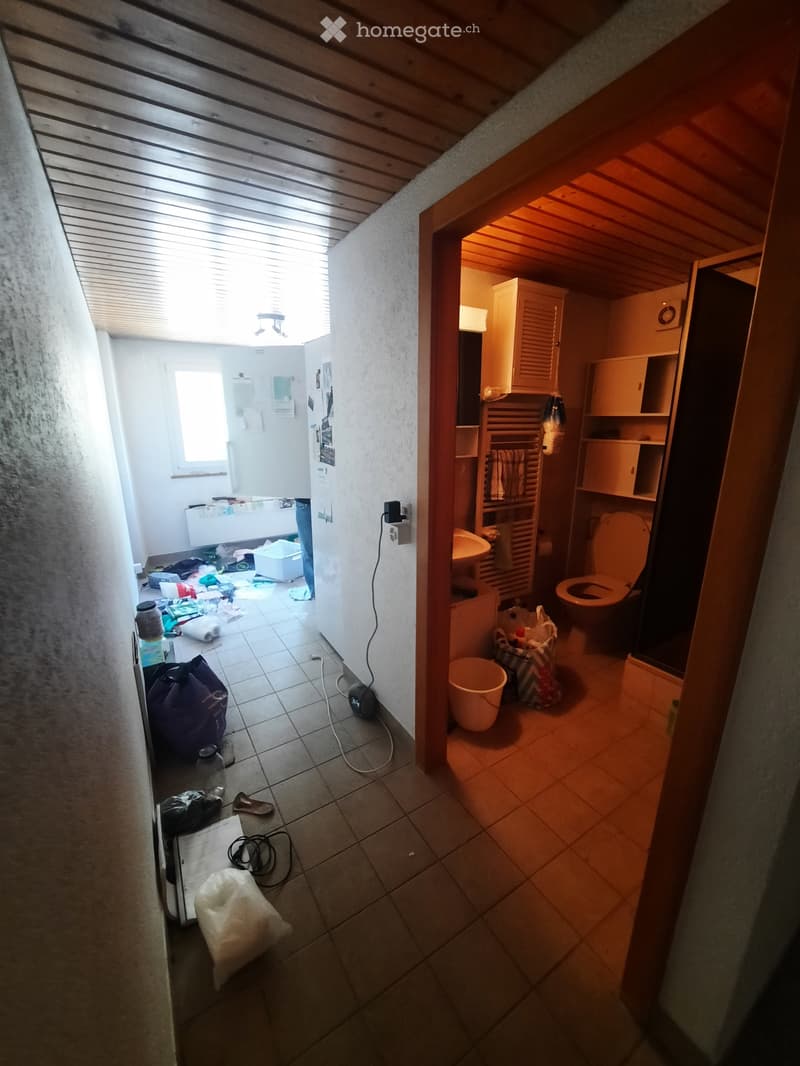Sonvilier - Appartement / Wohnung (5)