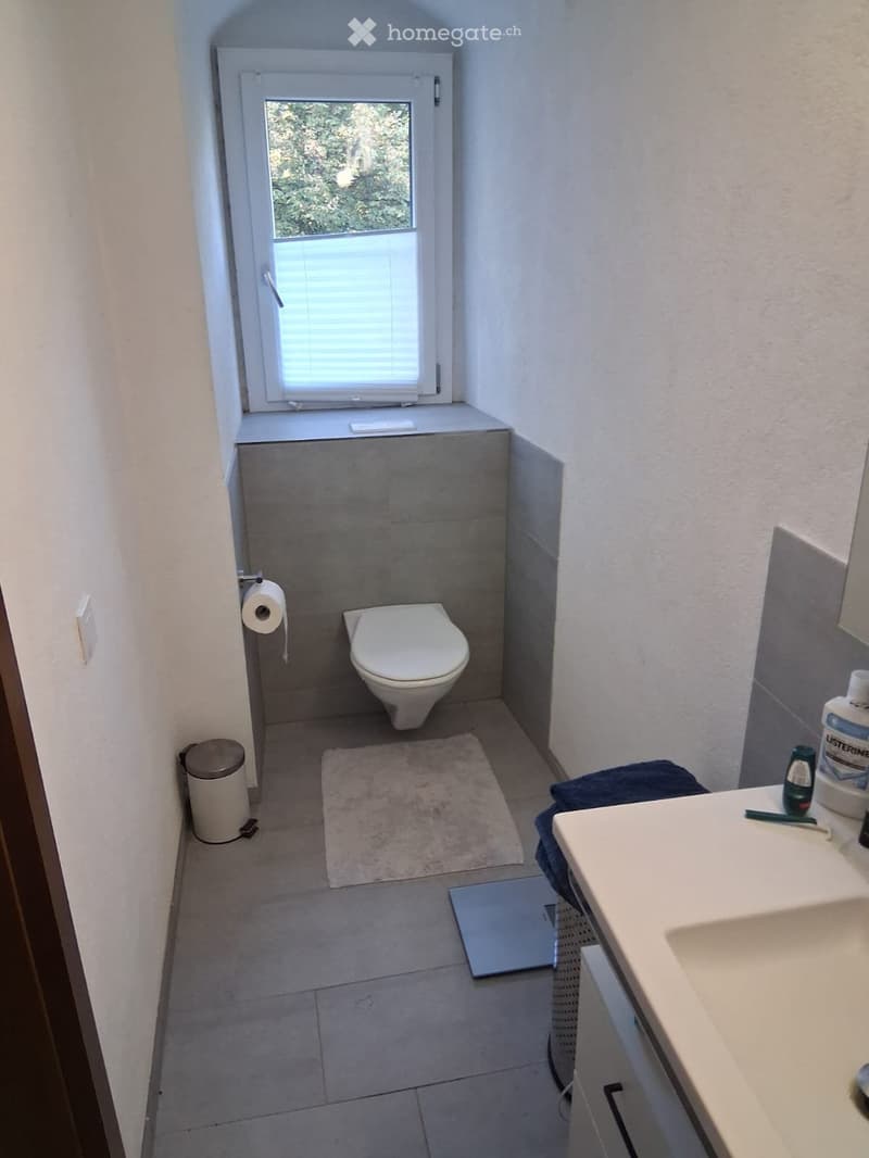Zu vermieten in Zofingen 3.5 Zi. Wohnung zentrale (3)