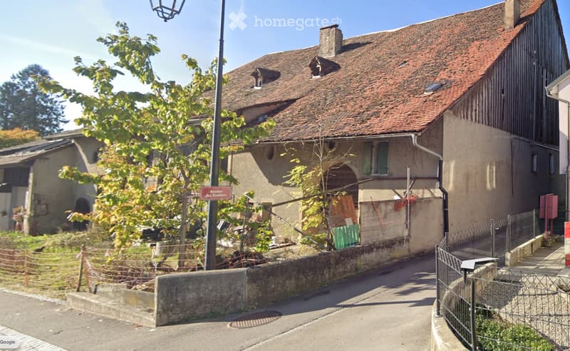 Fort potentiel de développement Gollion (VD) (1)