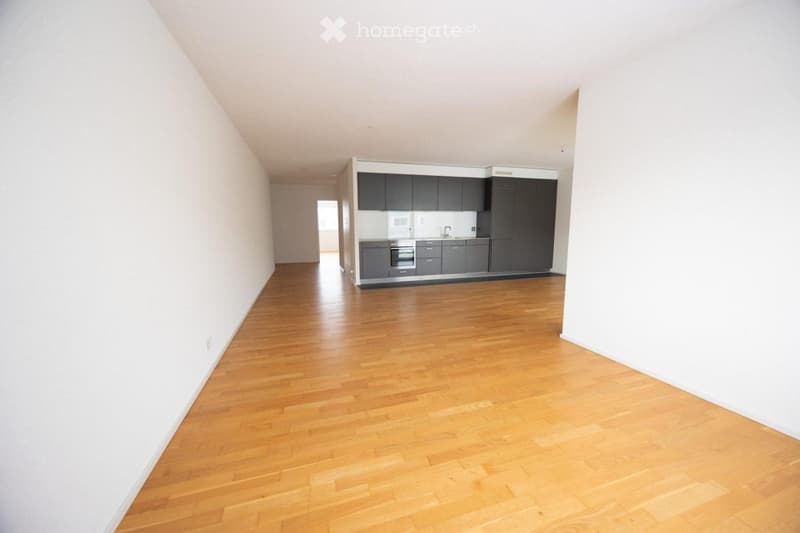 Grand appartement de 4 pièces pour une famille à Meyrin (1)
