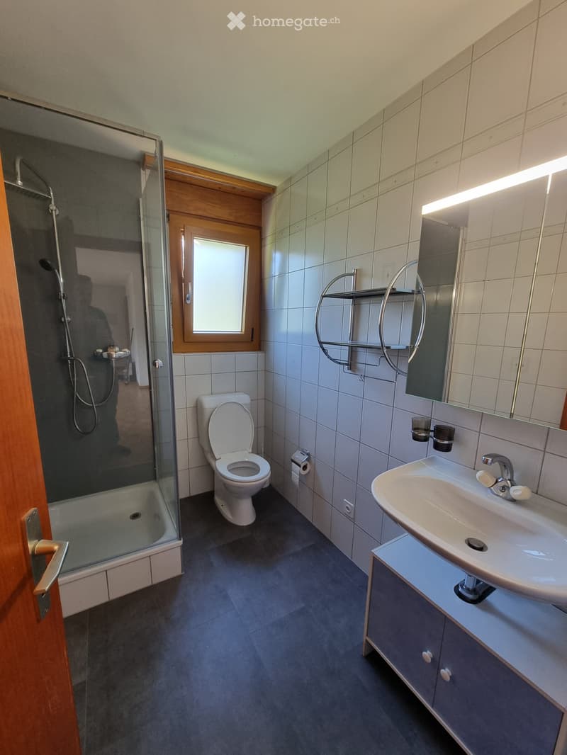 Appartement 2,5 pièces disponible immédiatement (4)
