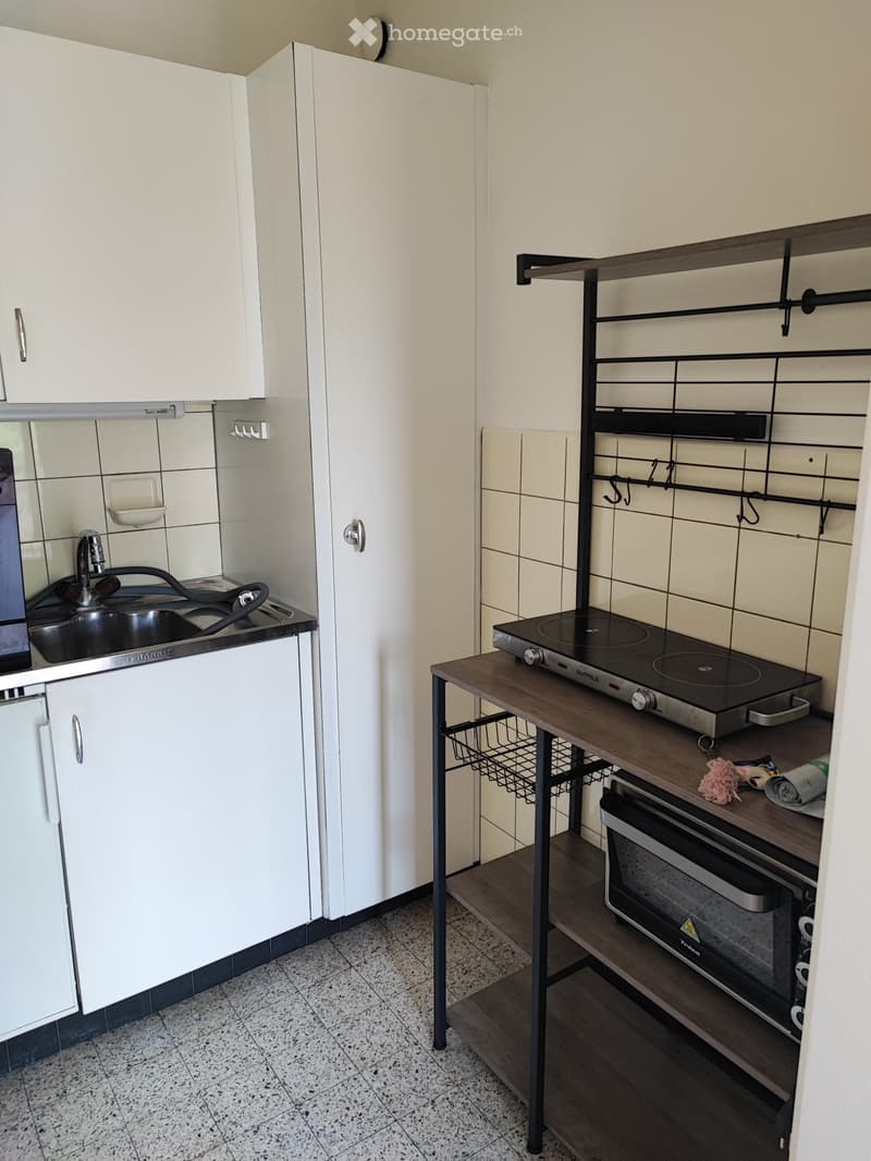 Apartament in Lausanne (2)