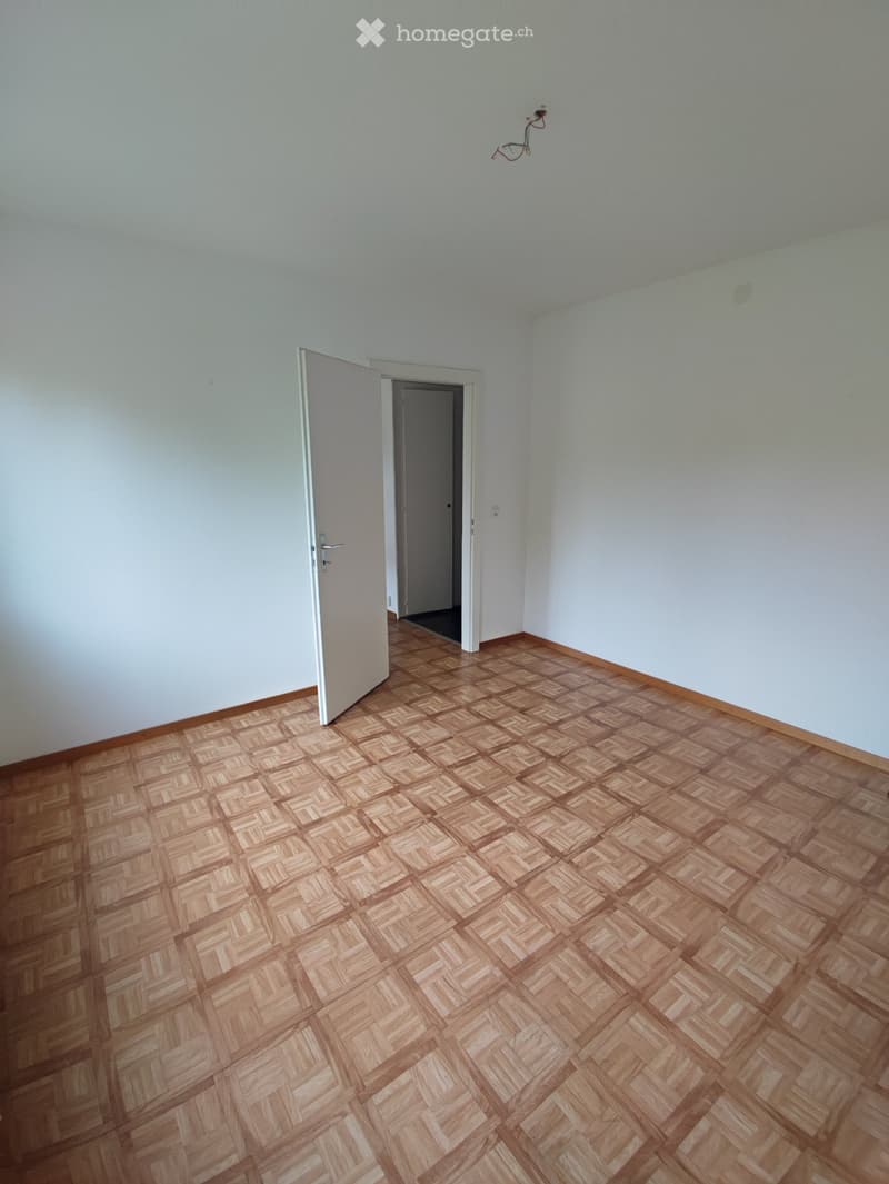 Apartament in Lausanne (4)