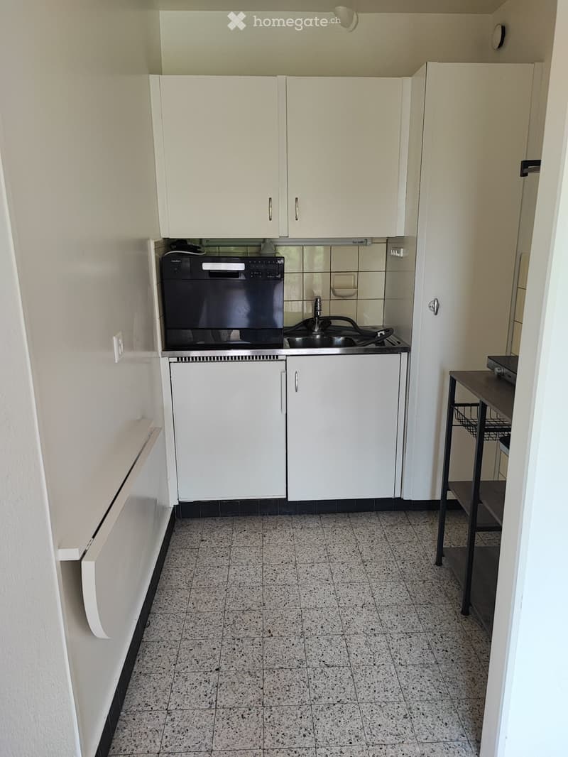Apartament in Lausanne (3)