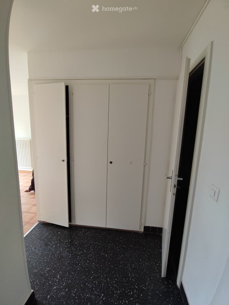 Apartament in Lausanne (5)