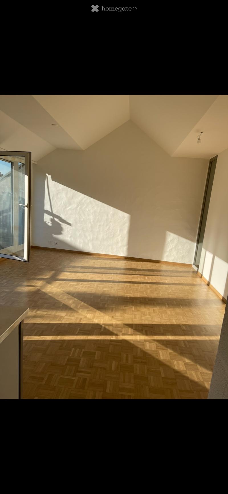 Magnifique 2,5 pièces avec grand balcon (3)
