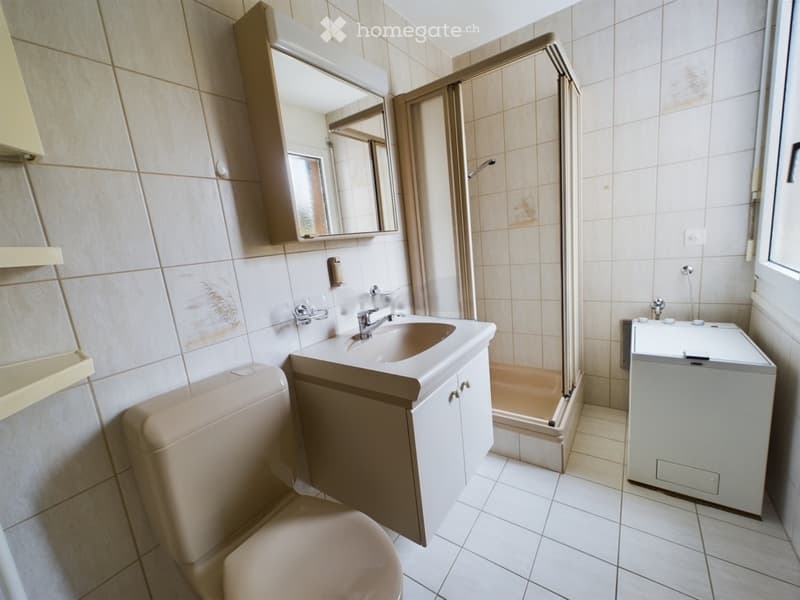 Schöne 4.5 Zimmerwohnung an zentraler Lage (4)