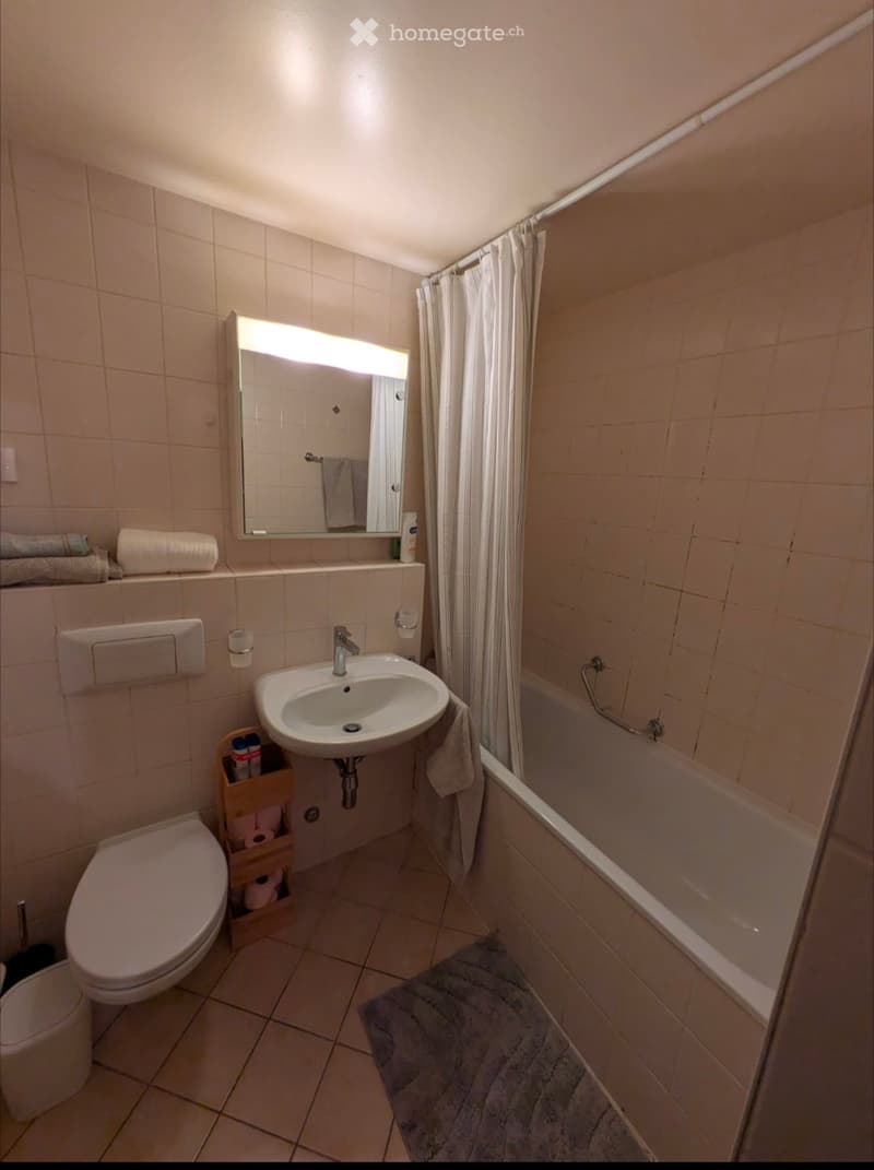 Studio Meyrin 1.5 rooms (2)