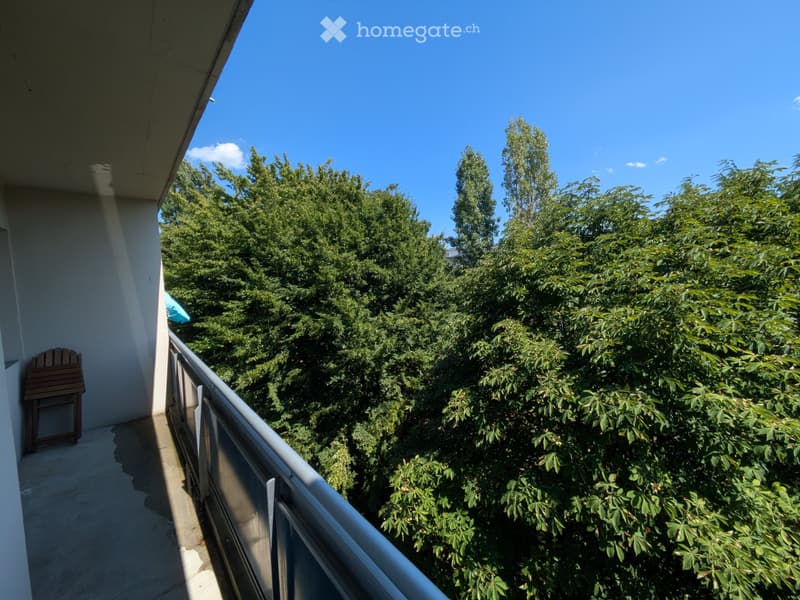 Studio Meyrin 1.5 rooms (5)
