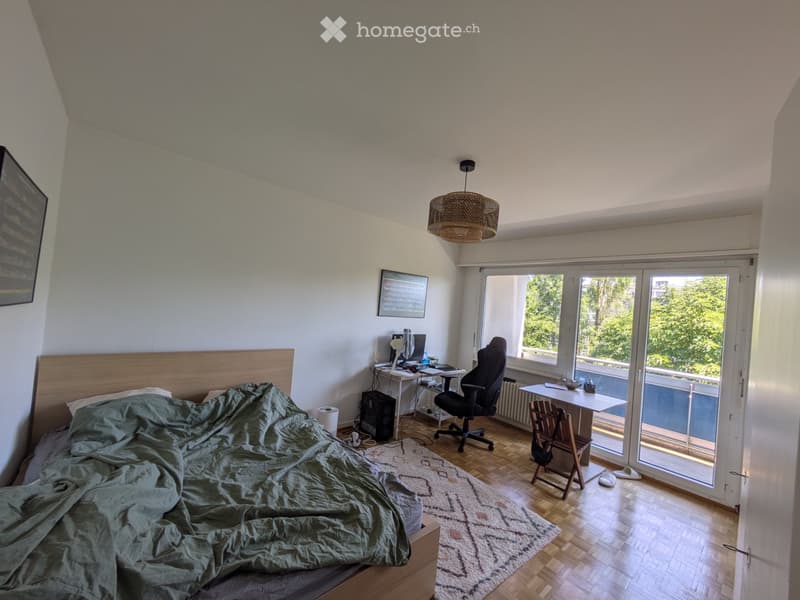 Studio Meyrin 1.5 rooms (4)